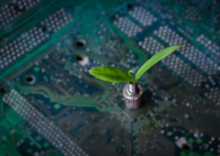 A plant coming out of a board